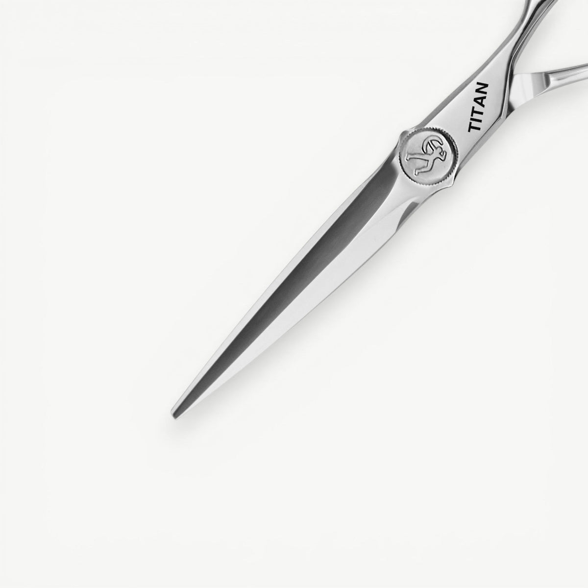 Titan 6'' TJ60 Japanese Steel Hair Cutting Scissors